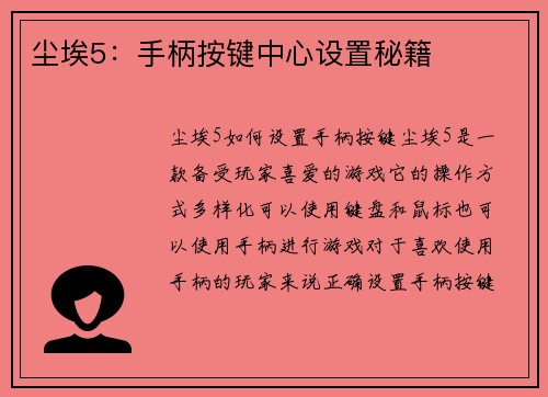 尘埃5：手柄按键中心设置秘籍